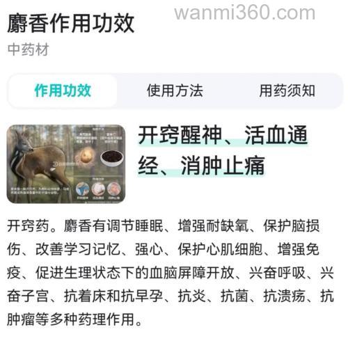 怎样泡麝香酒 天然麝香泡酒方法