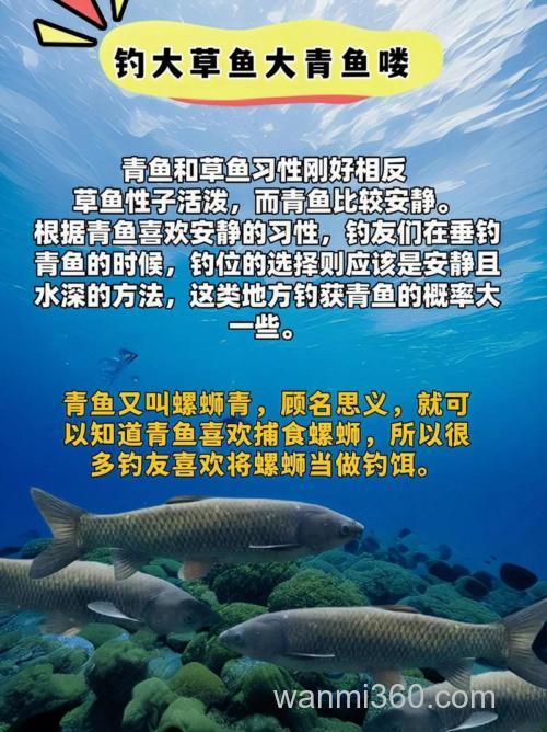 青黄豆好钓草鱼吗?