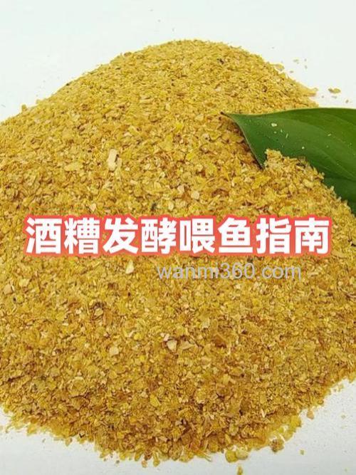 酒糟为什么不可以直接喂鱼？