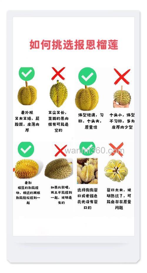 怎样挑选成熟的榴莲?