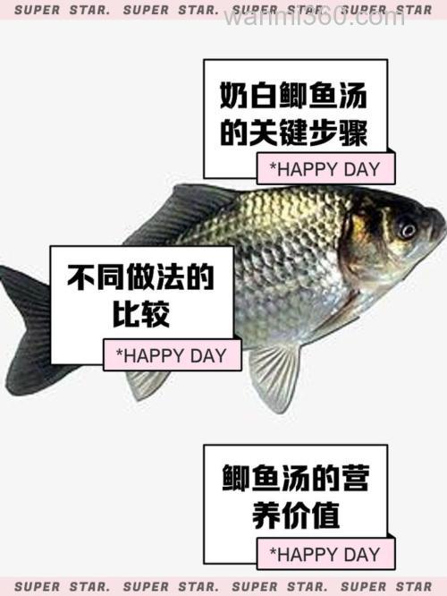 解析白鲫鱼价格:波动背后的因素与行情