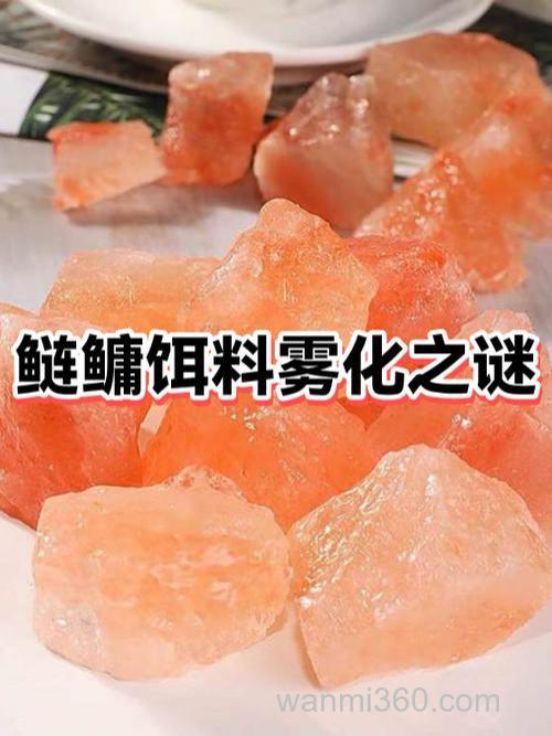 自制永久雾化饵料配方？