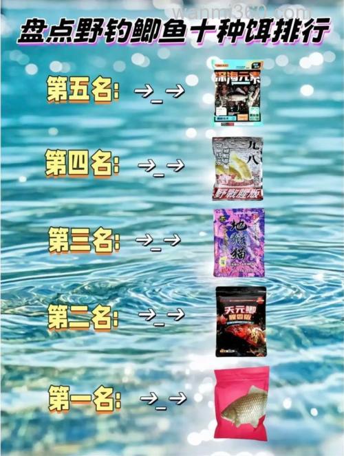 冬季水库钓鲫鱼商品饵推荐?