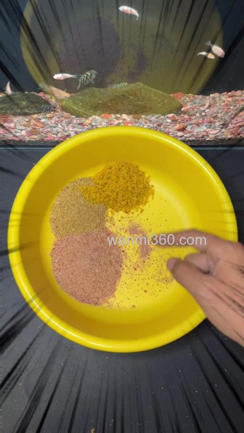 煮带壳大麦子钓鱼秘方?
