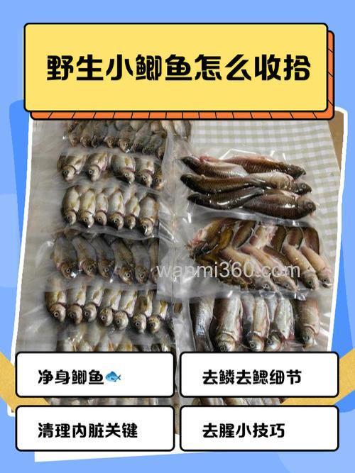 小鲫鱼如何处理干净
