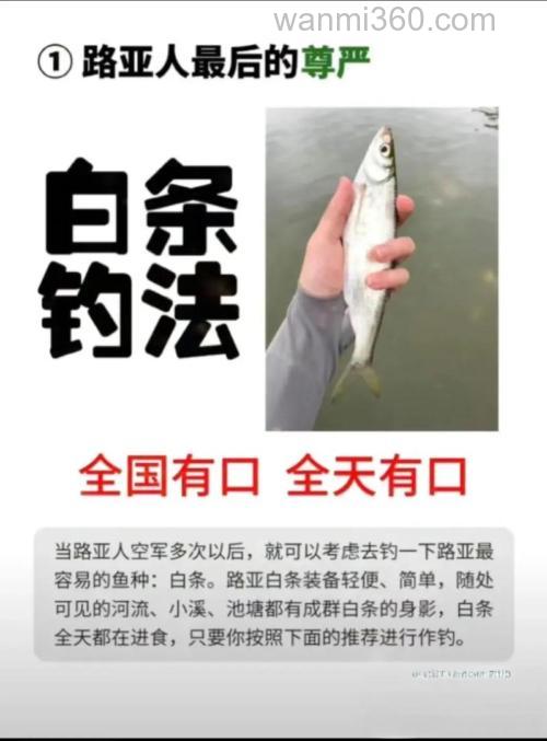 怎样钓大白鱼,有啥秘方没?交流下!