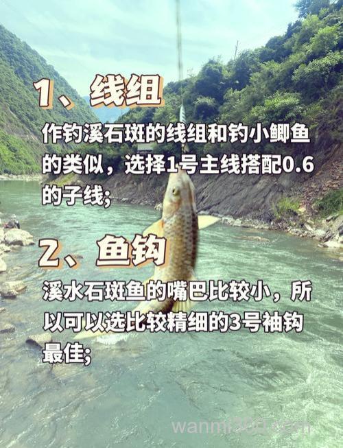 野外小溪钓鱼攻略:如何选择钓点?掌握这3点,轻松提升上钩率