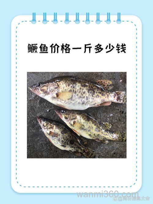 鳜鱼是什么鱼？鳜鱼多少钱一斤？