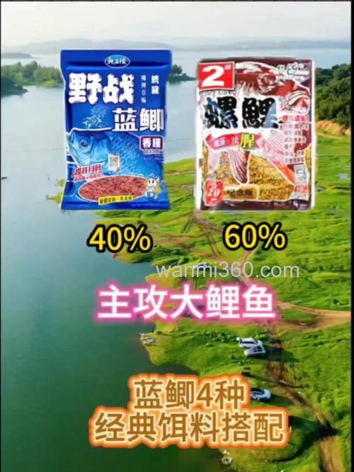 丸九黄鲫与野战蓝鲫最佳搭配？