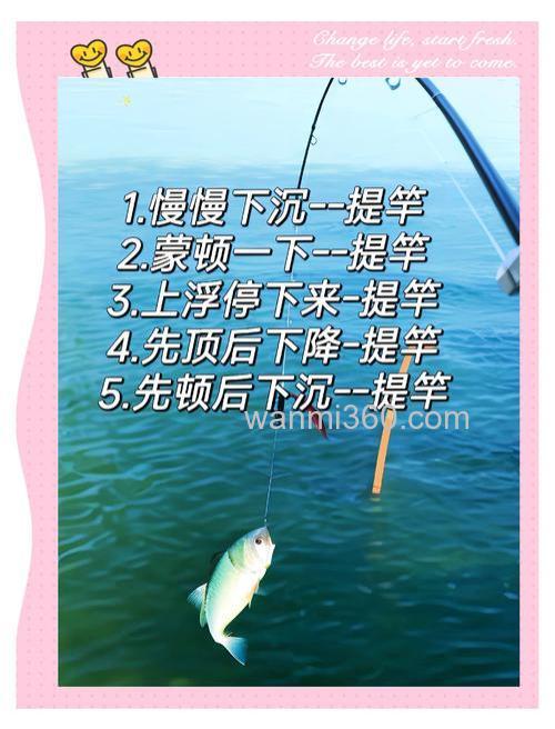 用商品饵钓鲤鱼多久提一次竿？