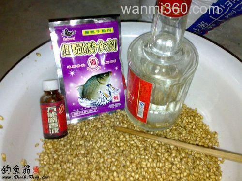 怎样泡麦子四季钓鱼效果好?