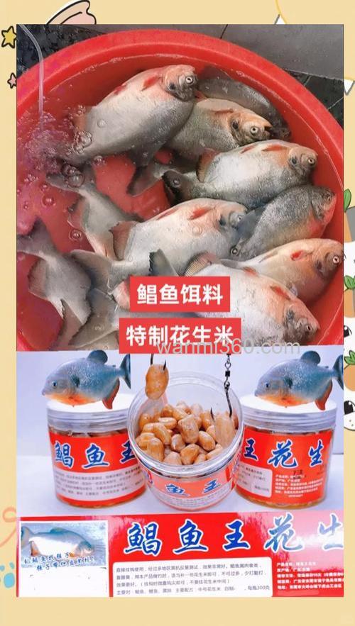 钓鲳鱼的花生饵料泡制方法？