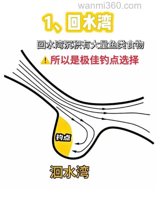 海钓观赏鱼指南:如何选择最佳钓点?掌握技巧,安全可持续