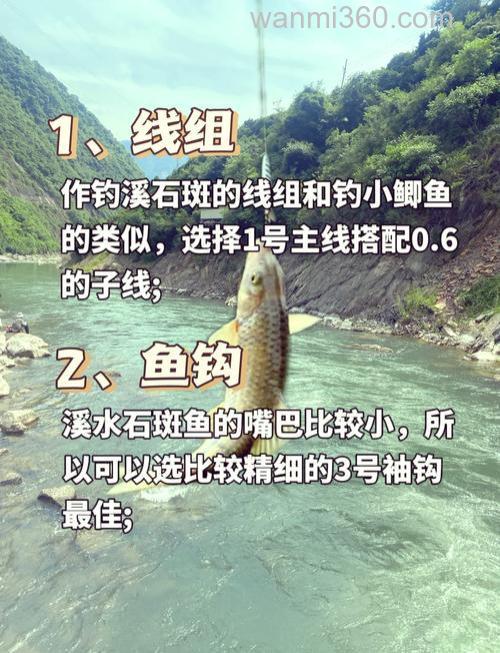 海钓石斑鱼全攻略:从钓点选择到动画教学,轻松提升钓鱼技巧