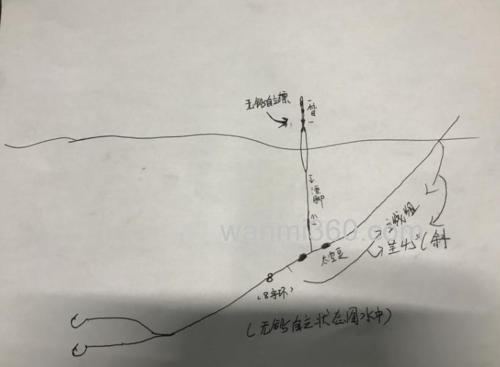 黑坑钓草鱼作钓思路