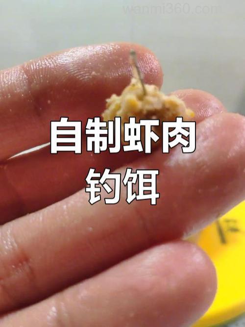 钓鱼用什么肉做饵最好?