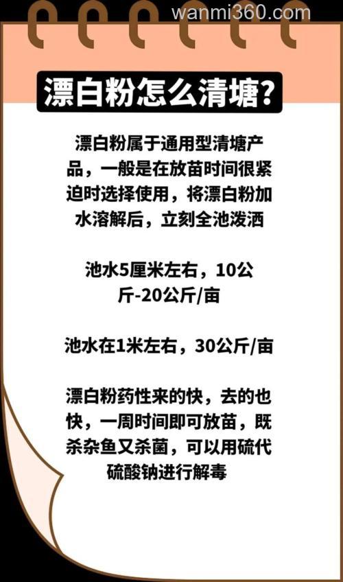 四大家鱼喂粉料怎么喂?