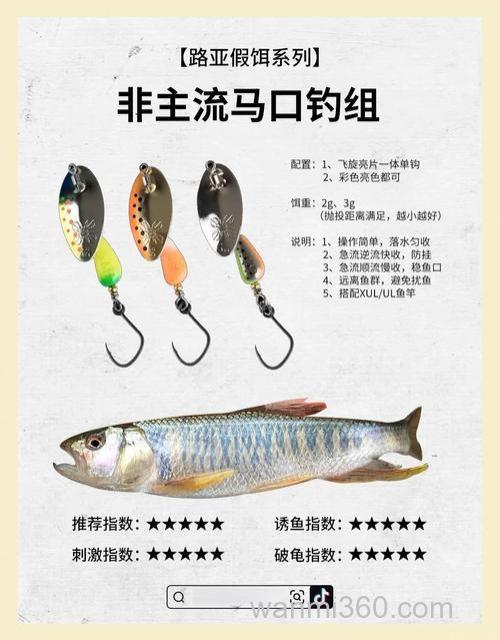 八月夜钓饵料选择?