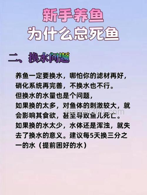 相隔不远别人上鱼自己不上鱼怎么解决?