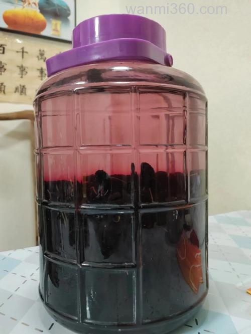 白酒泡桑葚能钓鱼么？
