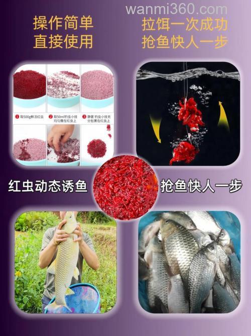 红虫主攻哪些鱼?
