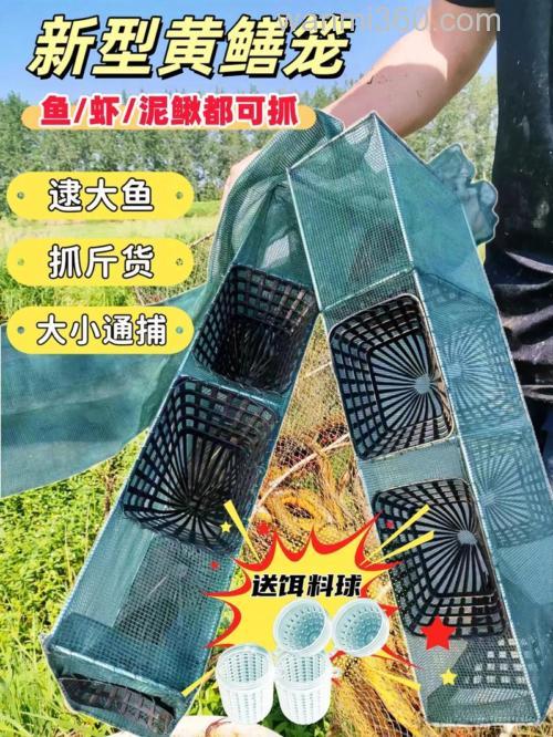 地笼捕鲶鱼用什么饵料?
