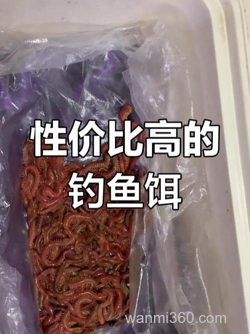 钓海怡要钓什么料？