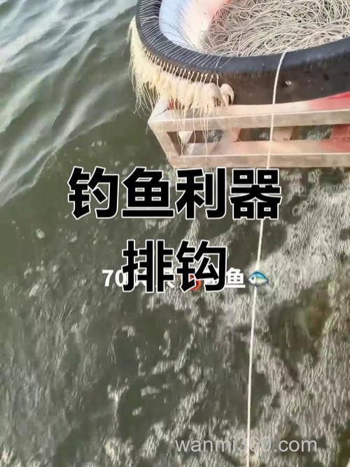 江河放排钩挂什么饵?