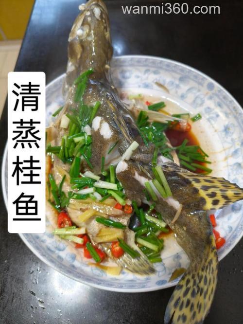 鳜鱼是淡水还是海水?鳜鱼的做法怎么做最好吃?