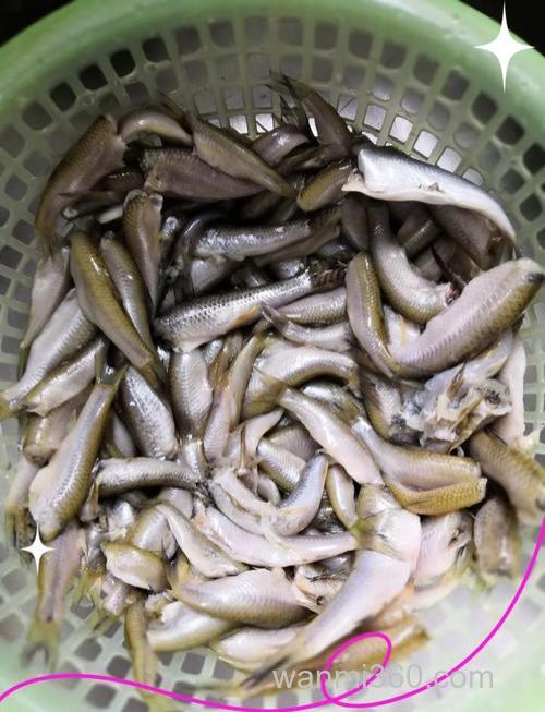 怎样避开小杂鱼?