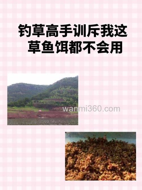 钓草高手训斥我:这草鱼饵都不会用