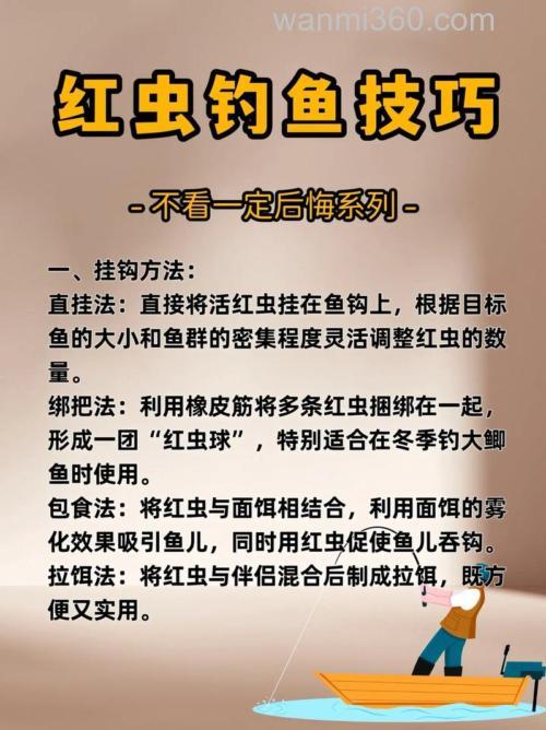 红虫钓鲫鱼效果怎么样?红虫和蚯蚓钓鲫鱼哪个好用?