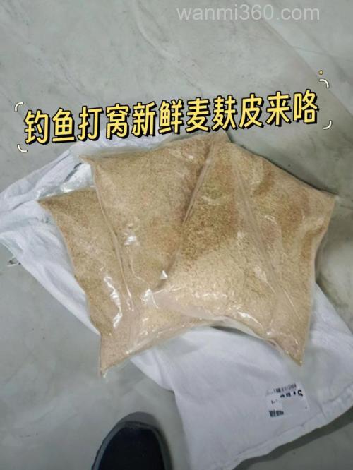 鲜小麦钓鲤打窝饵料