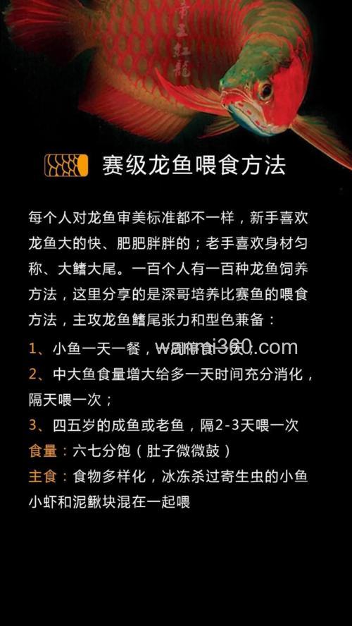 龙湖怎么上鱼怎么样!!!