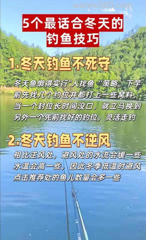 降温天气怎么钓鱼最佳?
