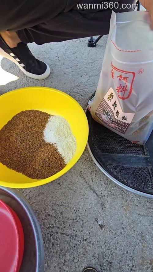 钓雄鱼的饵料?