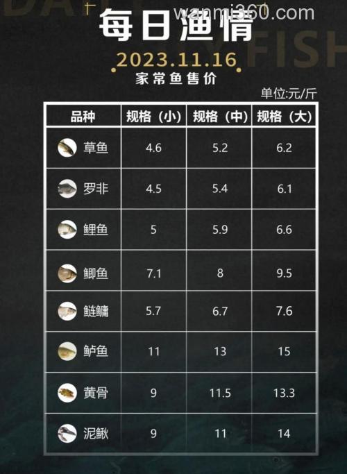 鲤鱼批发多少钱一斤