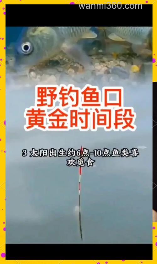 鲤鱼几天喂一次啊?食量多少?