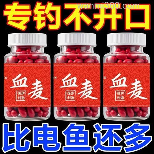 用红虫和麦粒一起钓鱼好用吗？