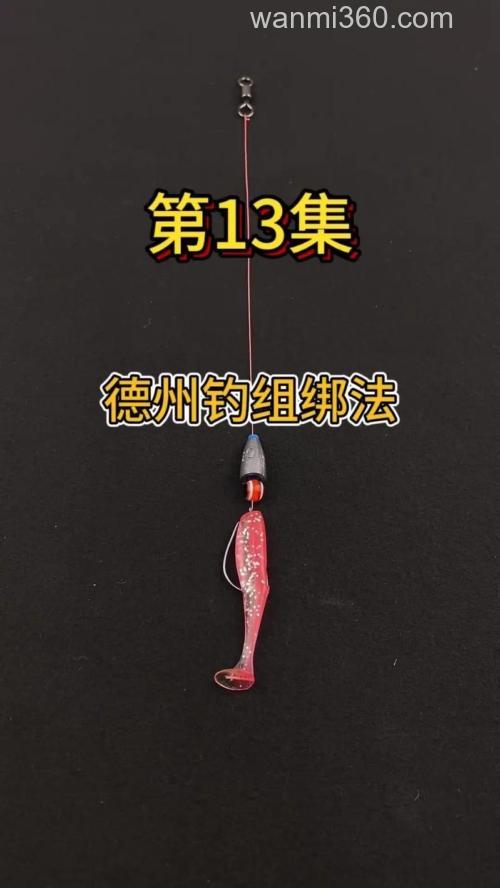一看就会!德州钓组绑法与挂饵技巧大揭秘