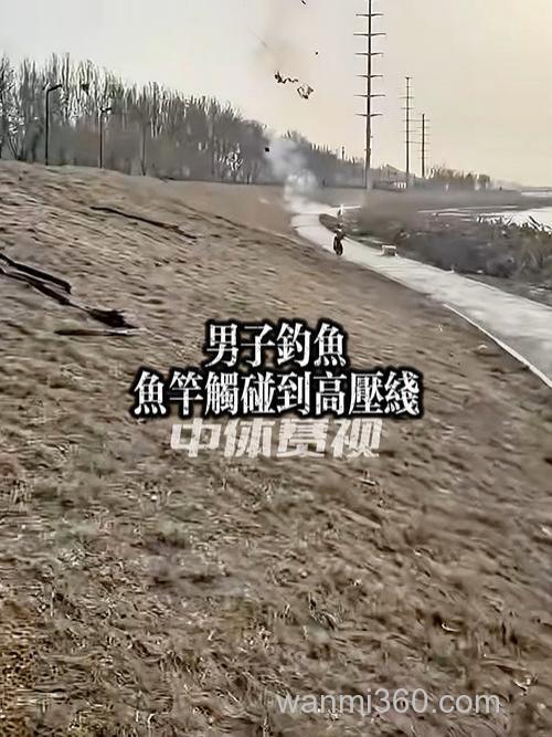 偷钓鱼触碰高压线会怎么样?