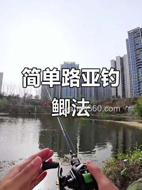 准备好钓具在这三个地点钓鲫鱼