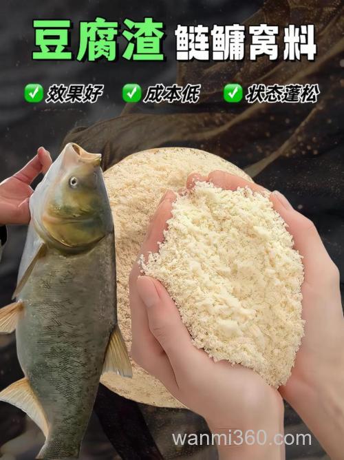 豆渣钓鲢鳙配方怎么做?