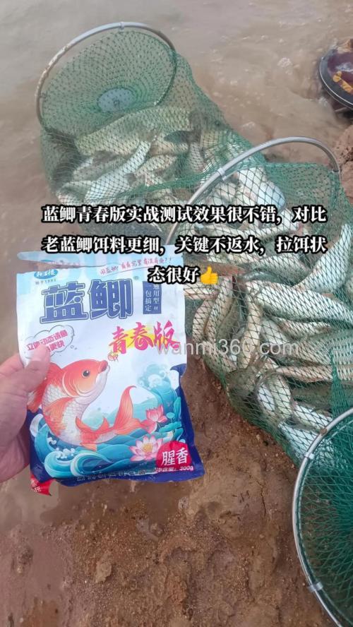 北京钓鱼网龙王恨速攻蓝鲫与其疯鲫2号混合做饵如何防止脑小鱼