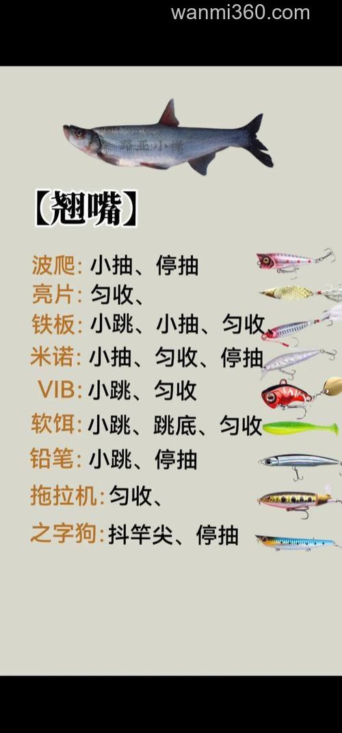 路亚钓鱼配方?
