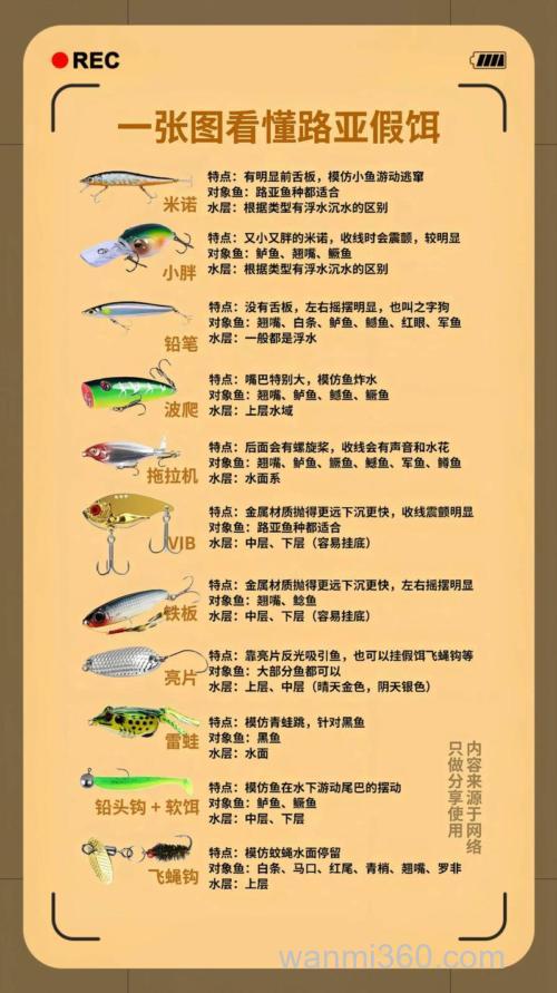 路亚的饵料选择?
