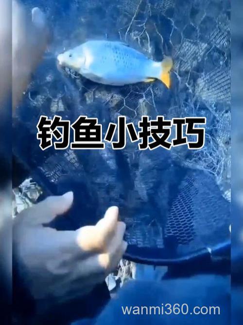 硅胶玉米可以钓到鱼吗？