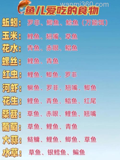 钓鱼 鱼食怎么配