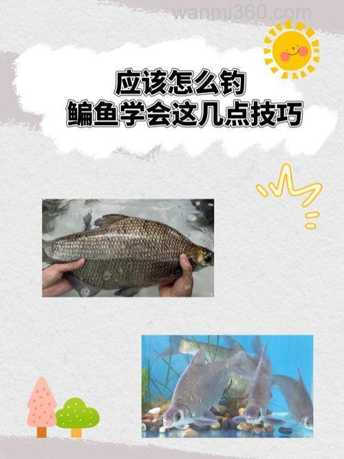 夏季水库钓鳊鱼的4点技巧?