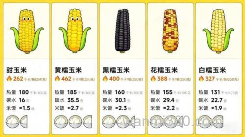 粮食热量排名?